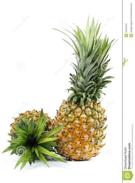 Fresh Pineapple Fruit With Cut And Green Leaves Stock Photo Image Of