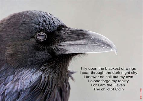 It tells of a talking raven's mysterious visit to a distraught lover, tracing the man's slow descent into madness. Odin Quotes. QuotesGram