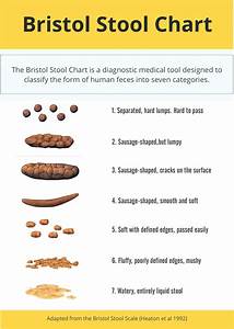 Bristol Stool Chart What Is Your Paleo Telling You Paleo Foundation