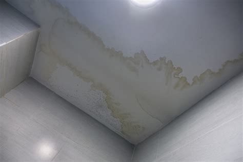 Mold On Bathroom Ceiling Wipe Out With Diy Remedies