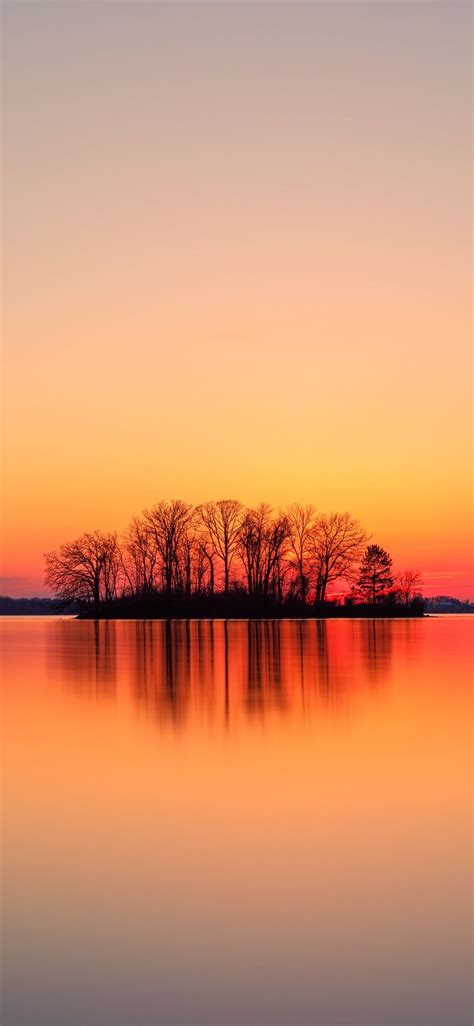 Silhouette Of Trees Near Body Of Water During Suns Nature Sunset