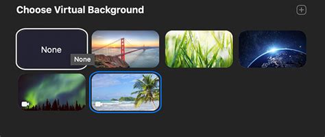 Moving Beach Background For Zoom  Encrypted