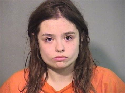 woman charged with battering 5 police officers resisting arrest during traffic stop in crystal lake
