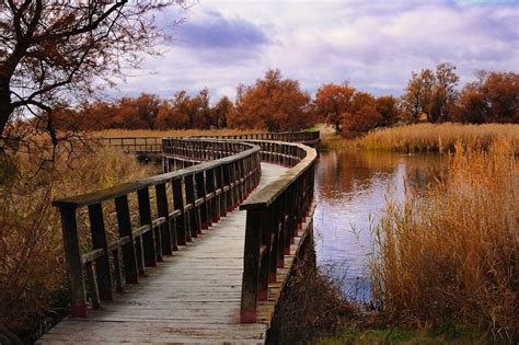 Parque Nacional Tablas De Daimiel Ciudad Real Castilla La Mancha