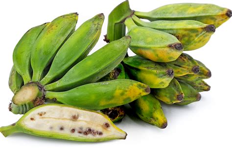 Seeded Bananas Information And Facts