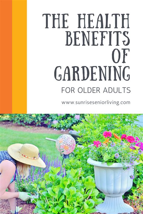 Starting A Garden Is Good For Your Health Benefits Of Gardening