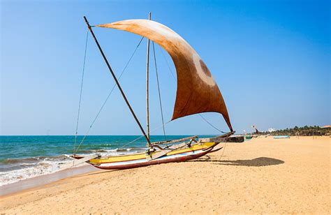 Tourist Attractions Events Things To Do In Negombo Sri Lanka Love