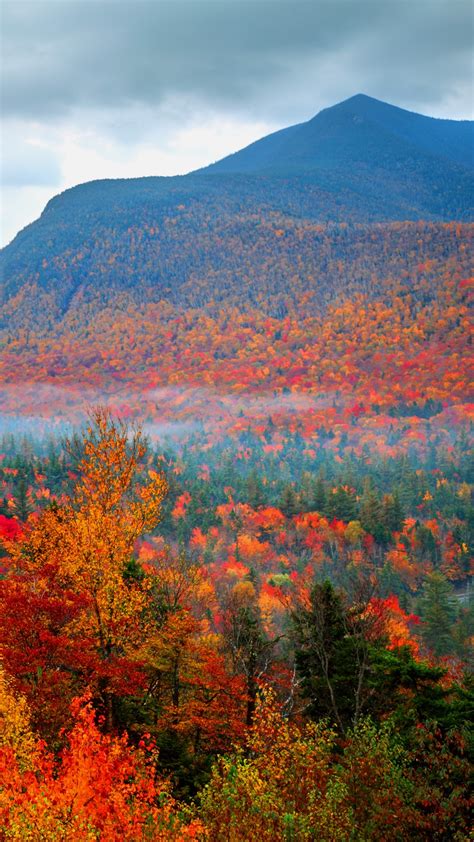 Autumn Foliage Fall In White Mountains National Forest New Hampshire