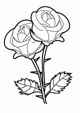 Coloring Rose Roses Printable sketch template