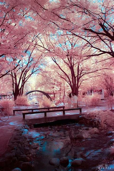 Pin by alexi m on aesthetic in 2020 (With images) | South korea photography, Beautiful ...