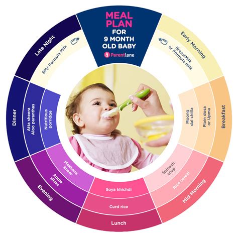 You can feed half a bread slices in a day. Indian Nutritious Food for 9 Months Old Baby, Food Chart