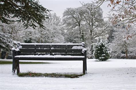 Bench In Snow Stock Photo Image Of Environment Snow 13246446