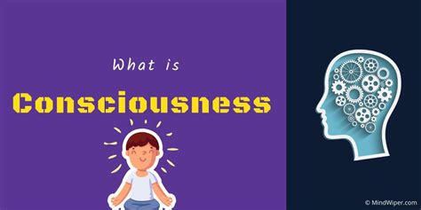 What Is Consciousness 3 States And 5 Functions Of The Conscious Mind