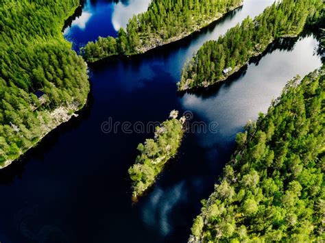 Aerial View Of Blue Lake And Green Forest Beautiful Summer Landscape