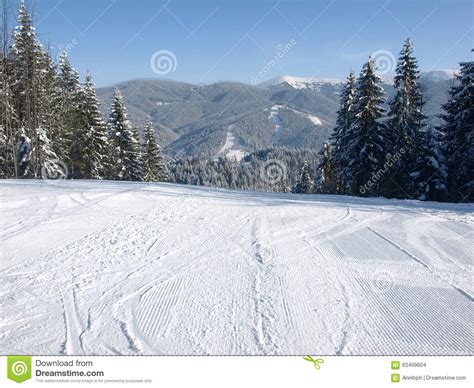 Ski Piste Among The Spruce Forest In Sunny Day Stock Photo Image Of