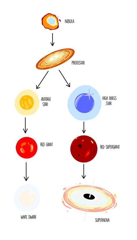 Life Cycle Of A Star Diagram Gcse Glorietalabel