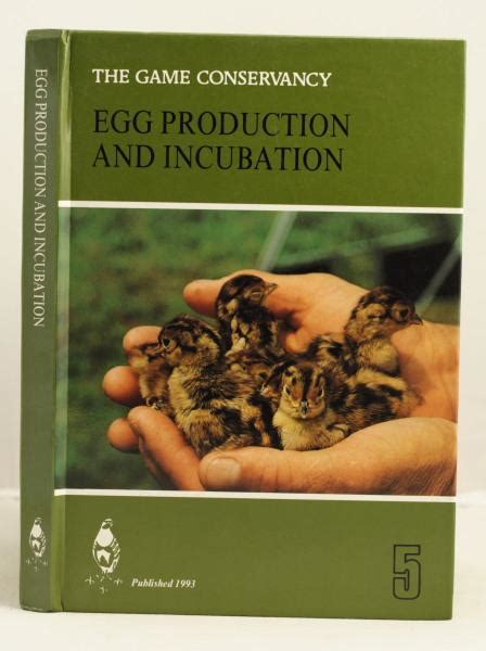 Egg Production Incubation And Sex Identification Of Geese My Xxx Hot Girl