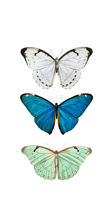 We did not find results for: VSCO Butterfly Laptop Wallpapers - Wallpaper Cave