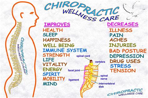 Chiropractors Help With Ewer Specific Chiropractic