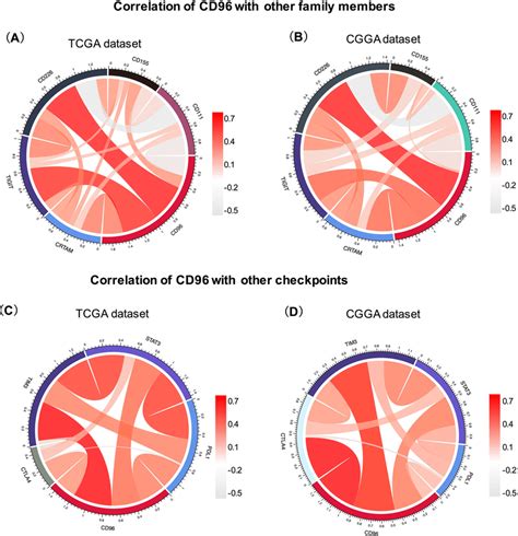 Association Between Cd And Immune Checkpoint Markers In Glioma The