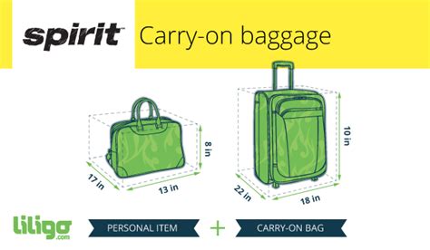 Contact delta to make a reservation for your pet and get specific dimensions for your flight. The Low Down On Spirit Airlines' Baggage Policies ...