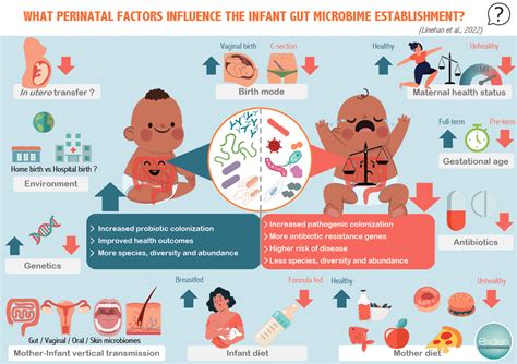 Infographic What Factors Influence The Development Of The Baby S