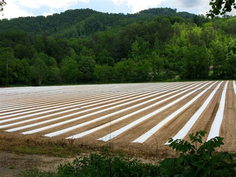Carolina Farm Stewardship Association Covid 19 Updates Morning Ag Clips