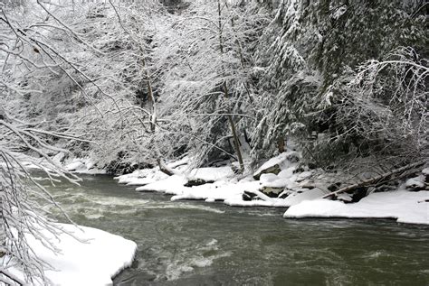 Creek In Snow Woods Free Stock Photo Public Domain Pictures