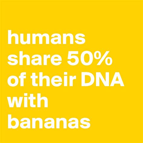 Humans Share 50 Of Their Dna With Bananas Post By Ronel On Boldomatic