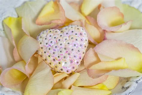 Romantic Rose Petal Still Life With Heart Stock Image Image Of