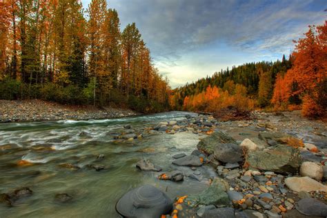 Alaska Forest Wallpapers Осенний пейзаж Живописные пейзажи Аляска