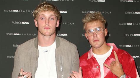 What Logan And Jake Paul Are Up To After Youtube Fame J 14