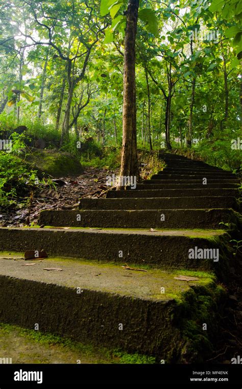 Mossy Stairs Hi Res Stock Photography And Images Alamy