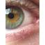 My Green/yellow Eyes 
