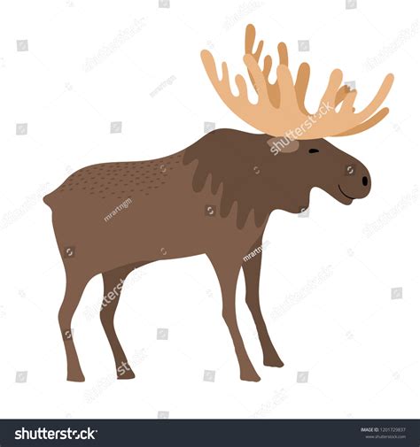 Cute Moose Cartoon Cute Vector Elk Stock Vector Royalty Free