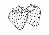Coloring Strawberry Printable Fruits Labels sketch template