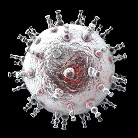 To treat sarcopenia, we strongly recommend the prescription of … objectives: Kaposi's Sarcoma Virus Photograph by Kateryna Kon/science ...