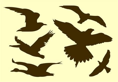 Vector Collection Of Flying Bird Silhouettes Download Free Vector Art