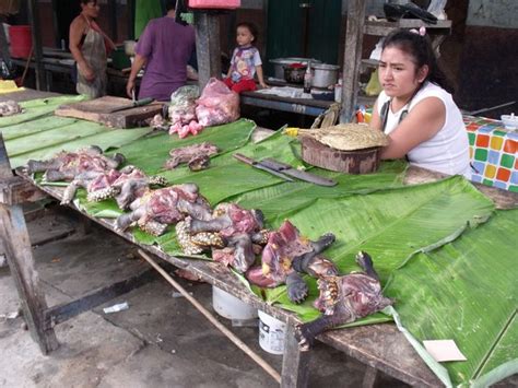 Market Sale Of Turtle Meat Photo
