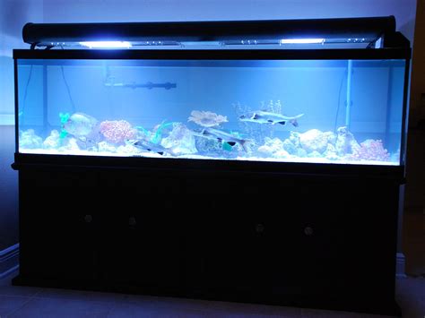 125 Gallon Fish Tank A Photo On Flickriver