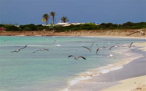 Formentera Spain August Landscape Of Formentera Beach Editorial Photo Image Of
