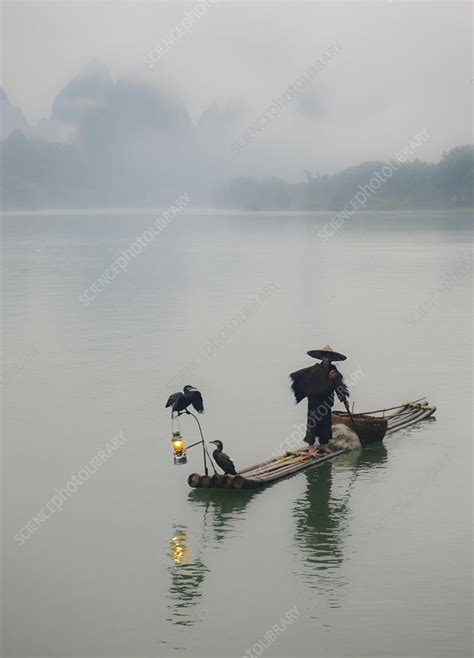 Chinese Fisherman On Li River China Stock Image C0123359