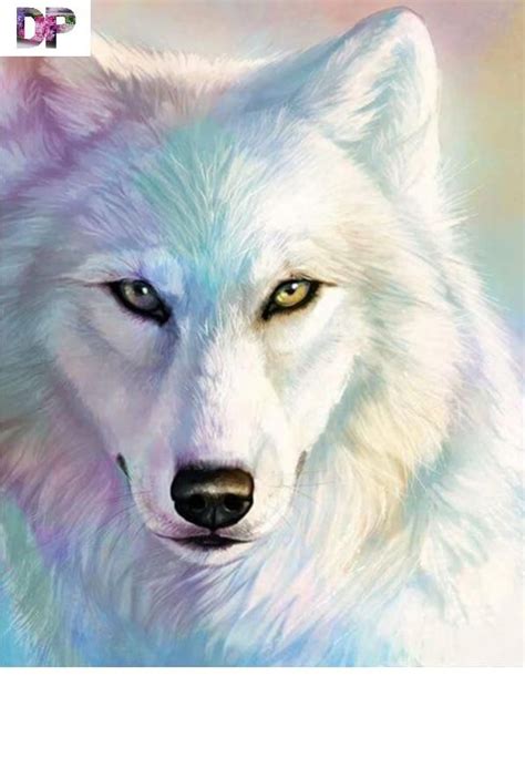 Wunderschöner Weißer Wolf Diamond Painting 5d Wolf Pictures