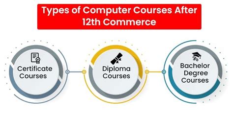Best Computer Courses After 12th Commerce 2024 Diploma Degree And
