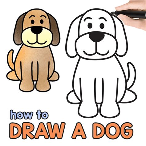 How To Draw A Cute Dog Step By Step For Kids Labrador Retriever