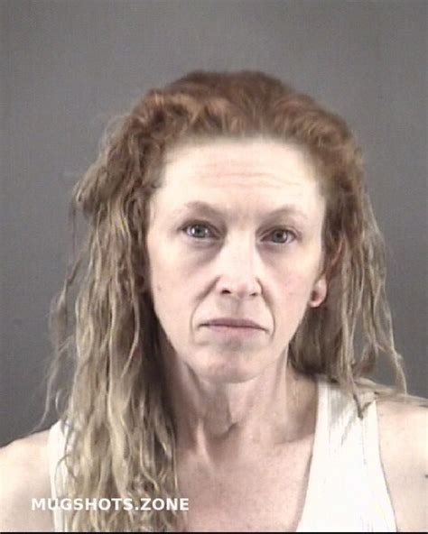 Engelkins Shelley Renee Forsyth County Mugshots Zone