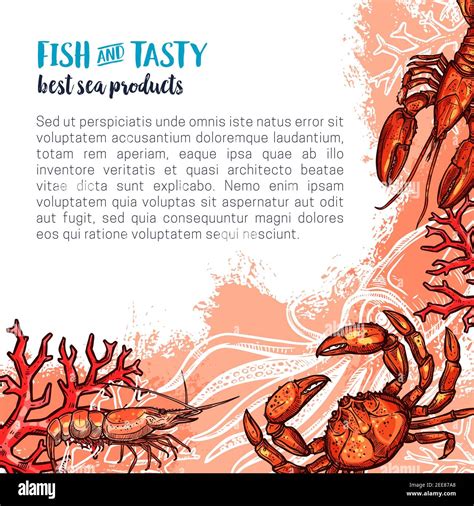 Fish And Seafood Product Sketch Poster Of Atlantic Ocean Crab Shrimp