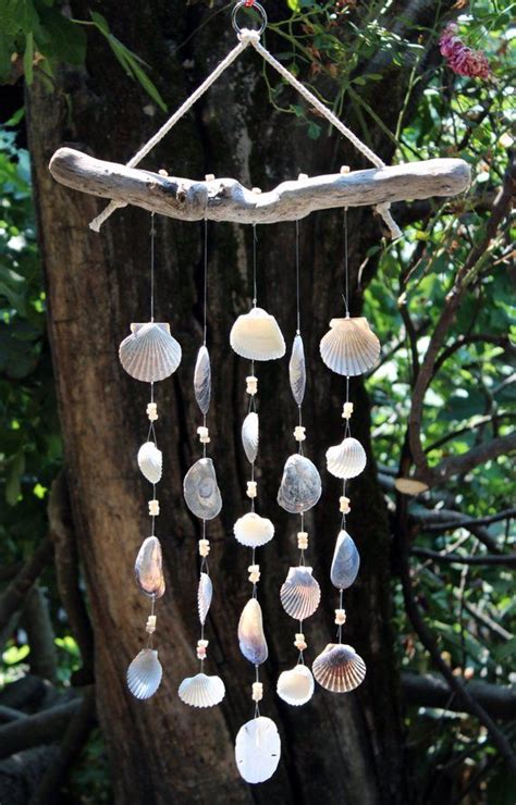 Driftwood Seashell Wind Chimes Handmade One Of A Kind Wind Chimes
