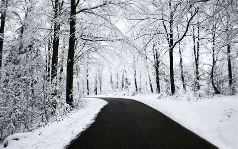 Black And White Winter Wallpapers Top Free Black And White Winter