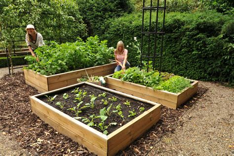 Raised Bed Garden Vegetable Wood Garden Design